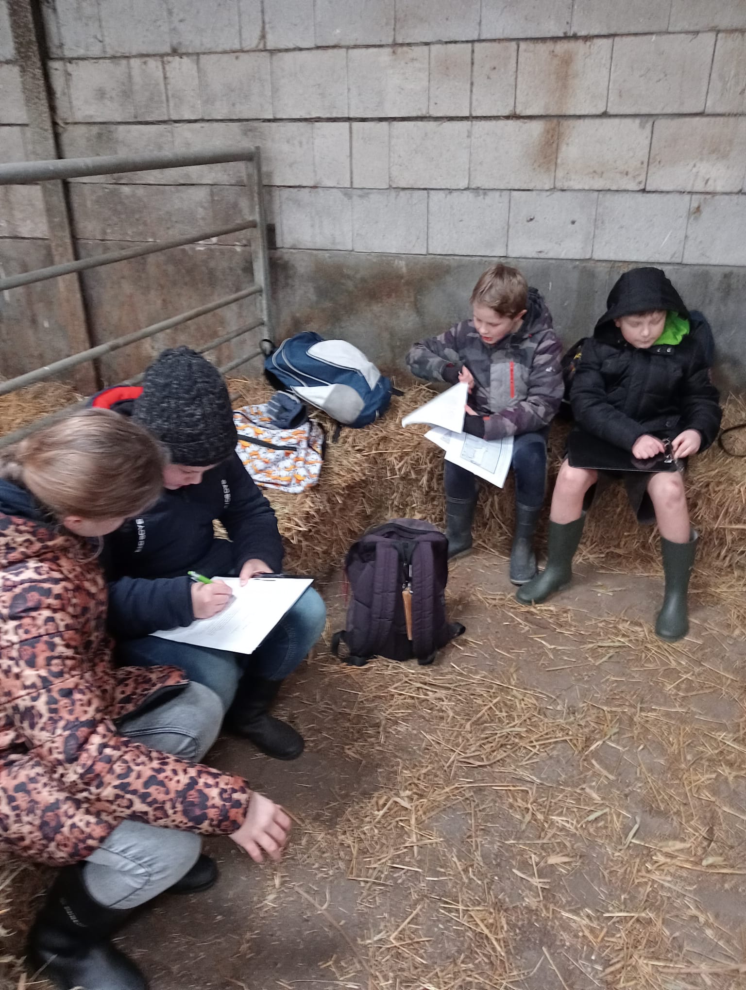 Bezoek boerderij🐮