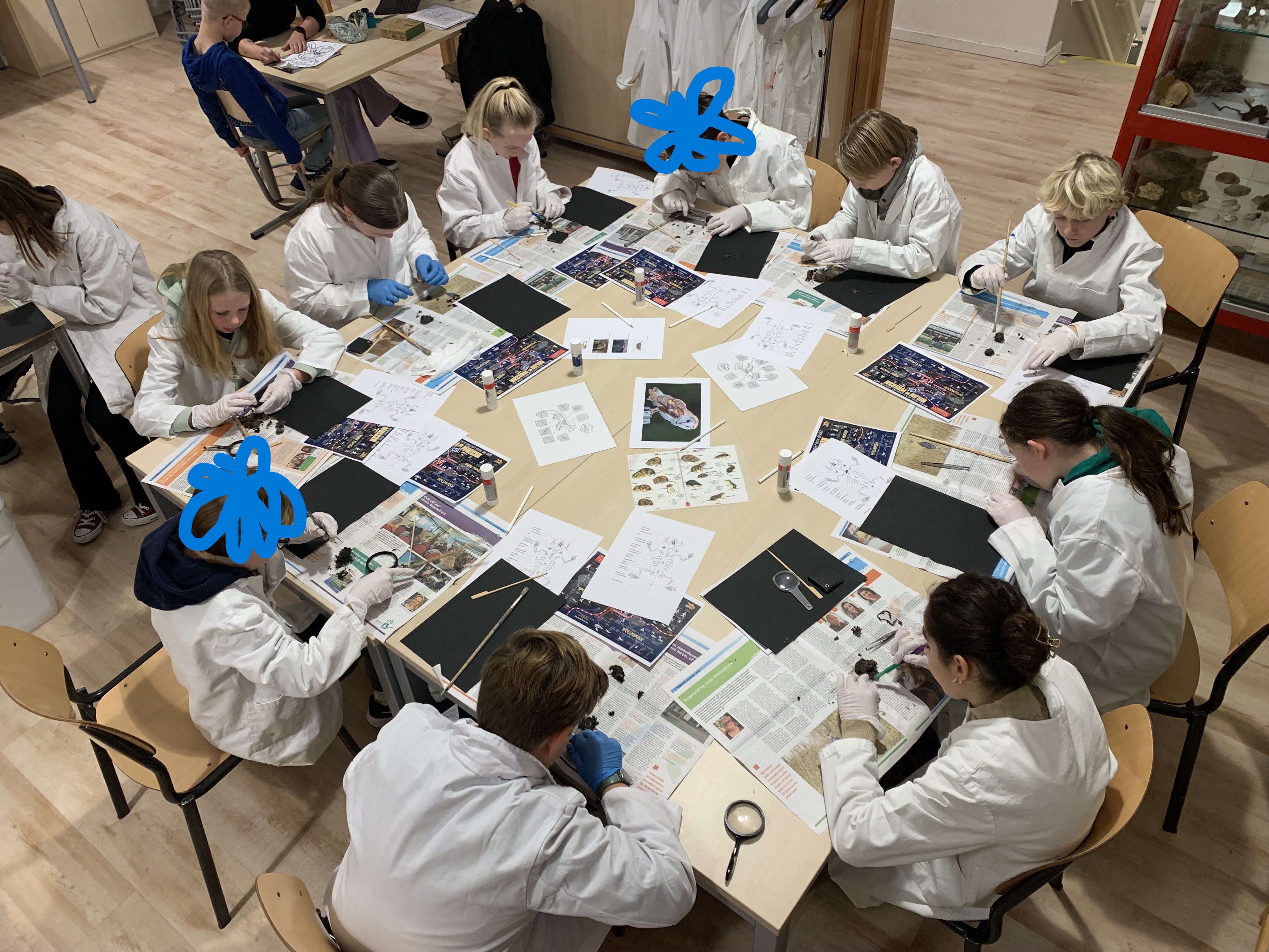 Thijsselab: uilenballen pluizen