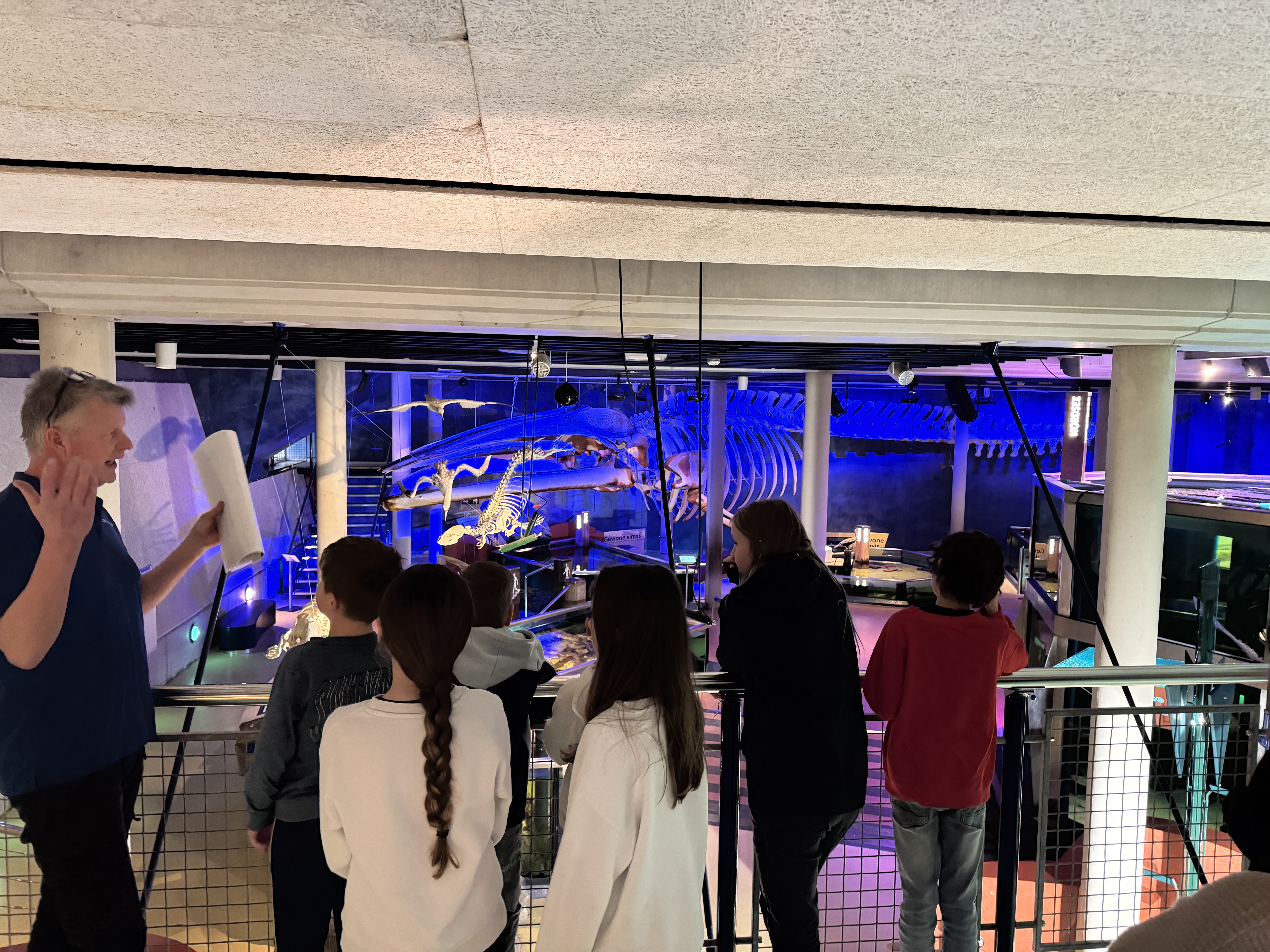 Bovenbouw naar Ecomare