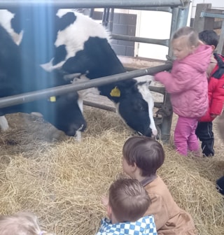 99eb1d41-9ed0-4964-87e5-d67c855e4803