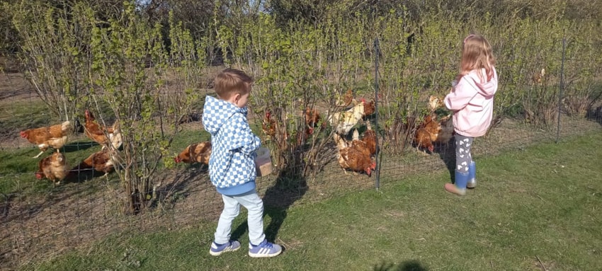 499c9c5e-0f8f-42e8-b386-db6baa5b1b8e