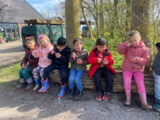 c40ce886-1ac0-4331-a3c7-d566ed9fb1af